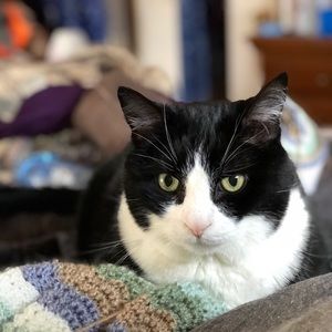 Meet your Posher, Susan